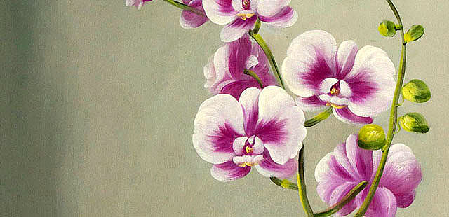 0B 《高贵兰花》 当代油画家 王露露 花卉写实油画
